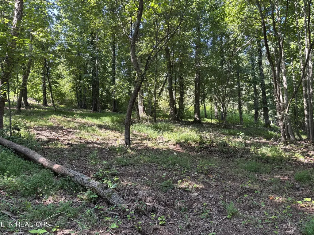 371 Walking Horse Trail Rockwood TN 37854