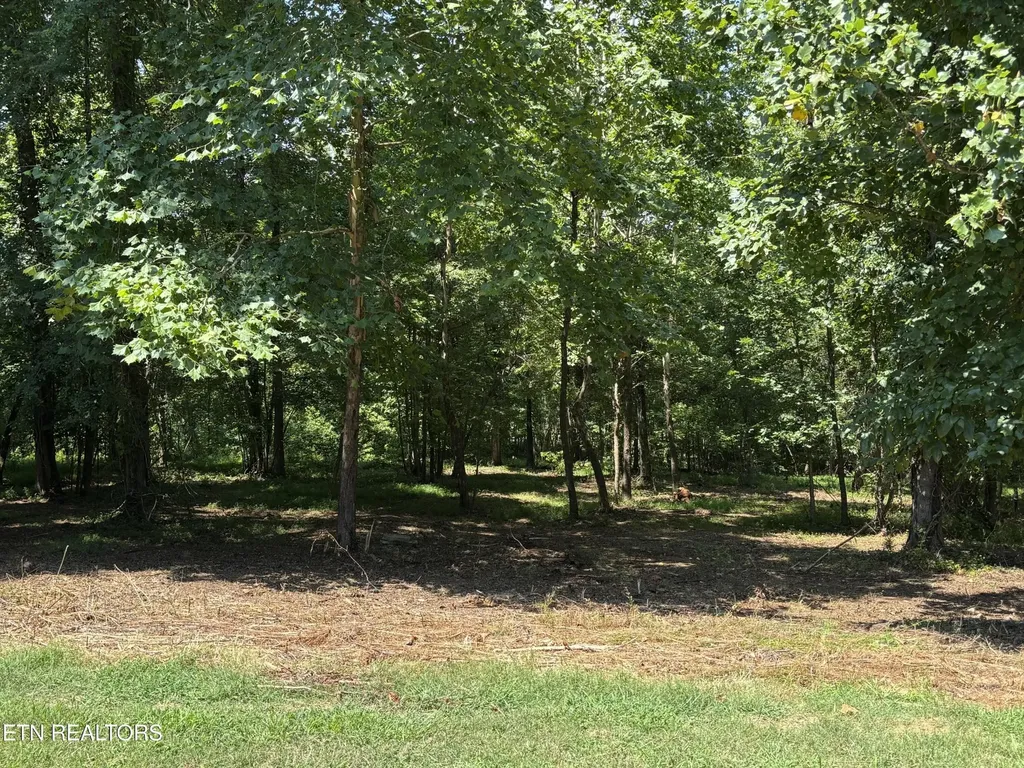 371 Walking Horse Trail Rockwood TN 37854