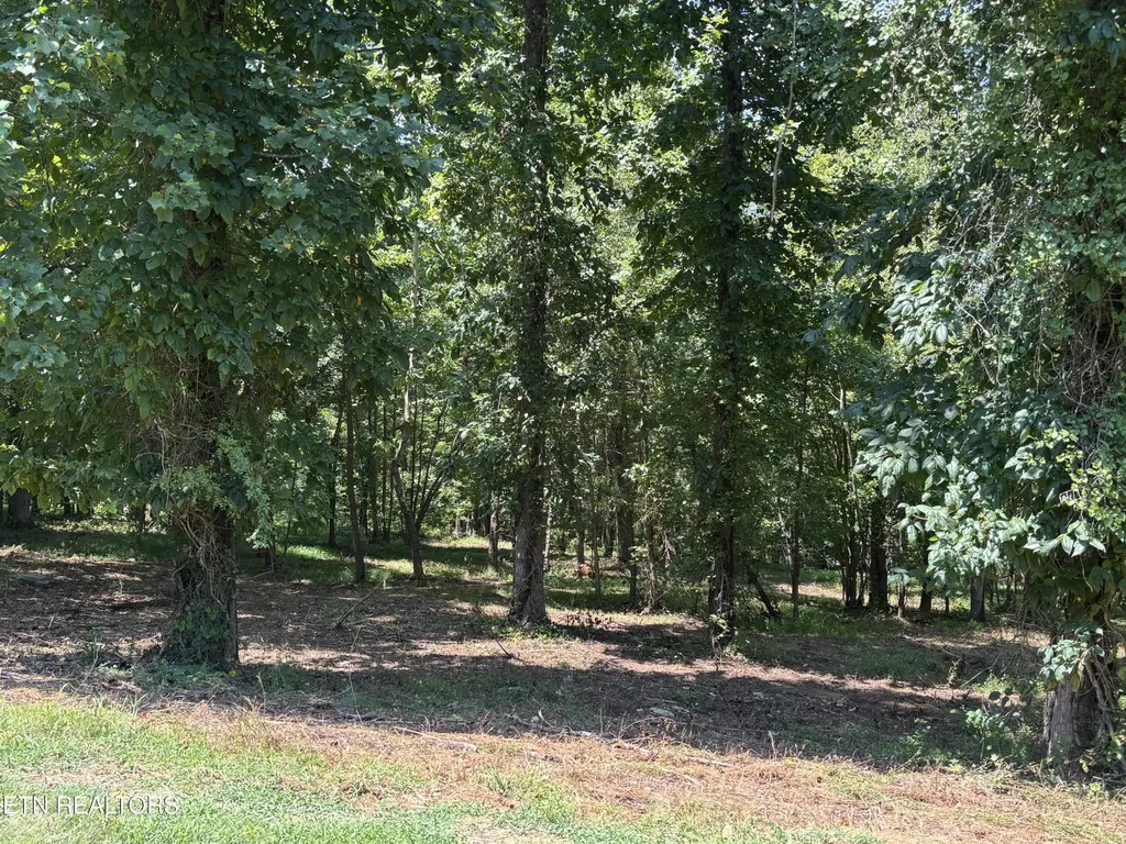 371 Walking Horse Trail Rockwood TN 37854