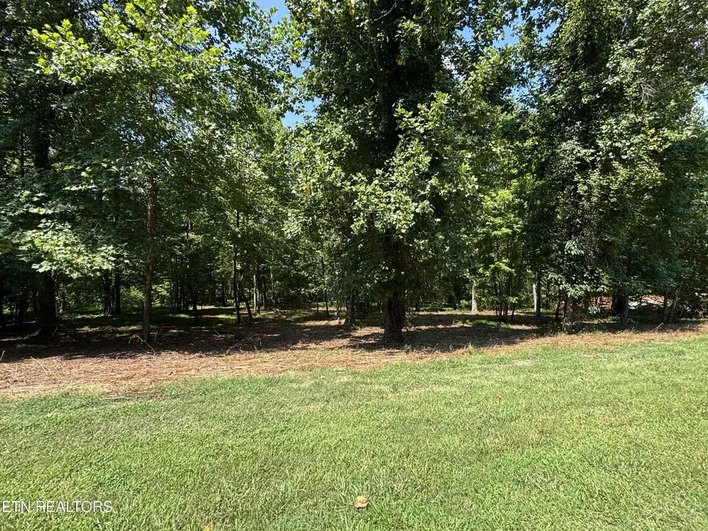 371 Walking Horse Trail Rockwood TN 37854