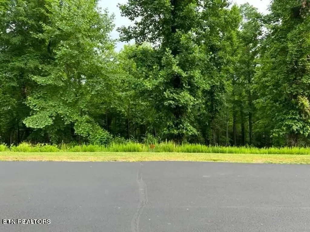 371 Walking Horse Trail Rockwood TN 37854