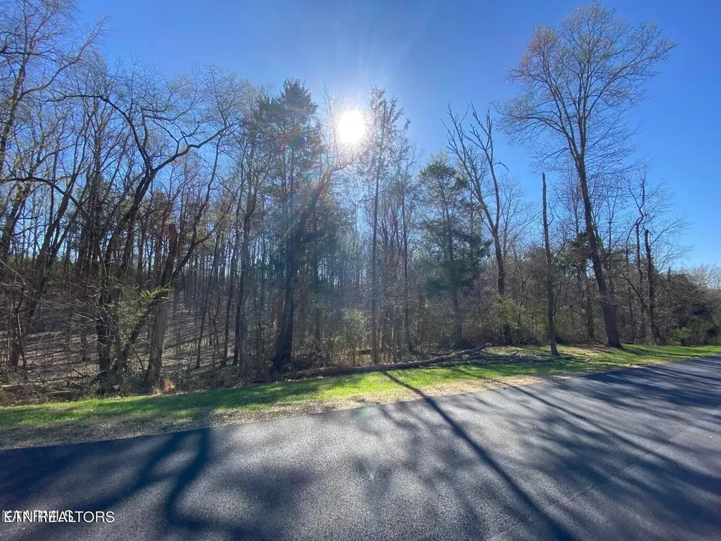 0 Eagle Ridge Drive Rockwood TN 37854