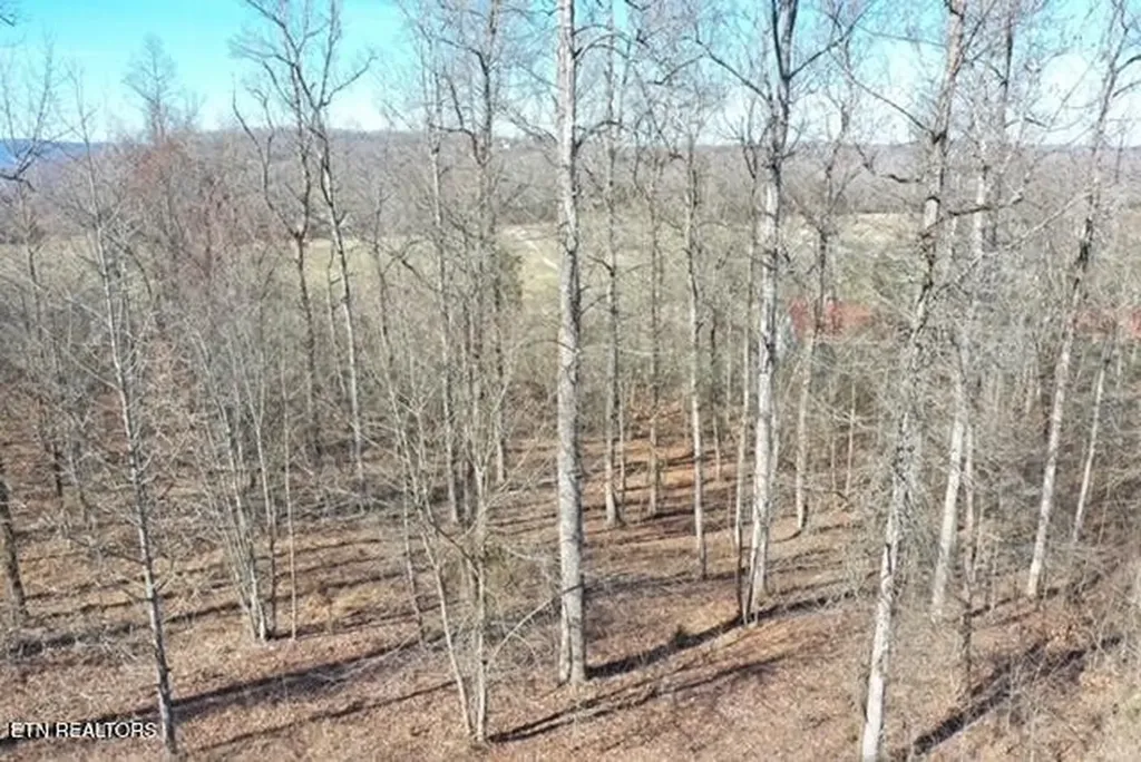 0 Eagle Ridge Drive Rockwood TN 37854