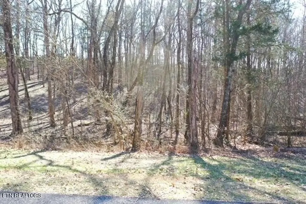0 Eagle Ridge Drive Rockwood TN 37854