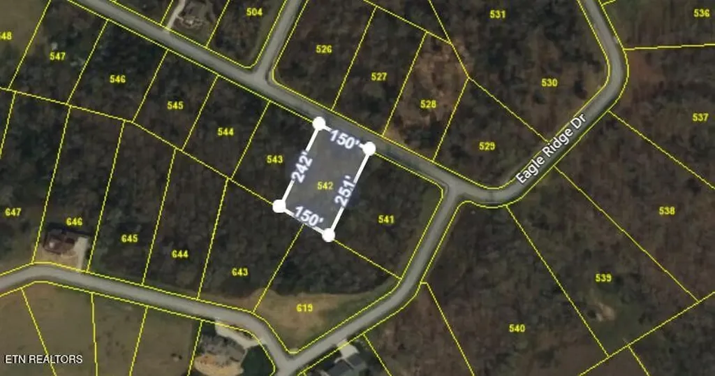 0 Eagle Ridge Drive Rockwood TN 37854