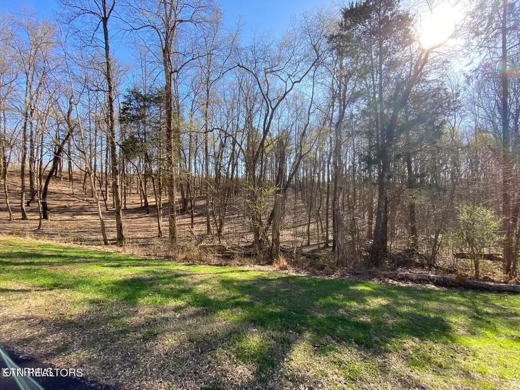 0 Eagle Ridge Drive Rockwood TN 37854