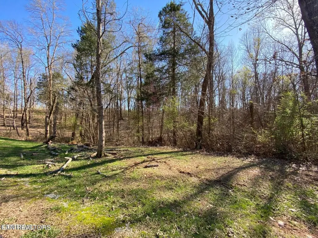0 Eagle Ridge Drive Rockwood TN 37854