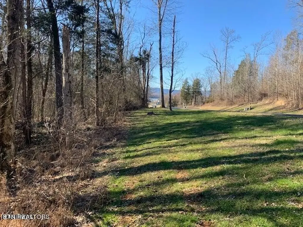 0 Eagle Ridge Drive Rockwood TN 37854