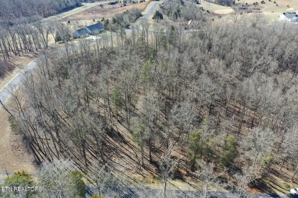 0 Eagle Ridge Drive Rockwood TN 37854