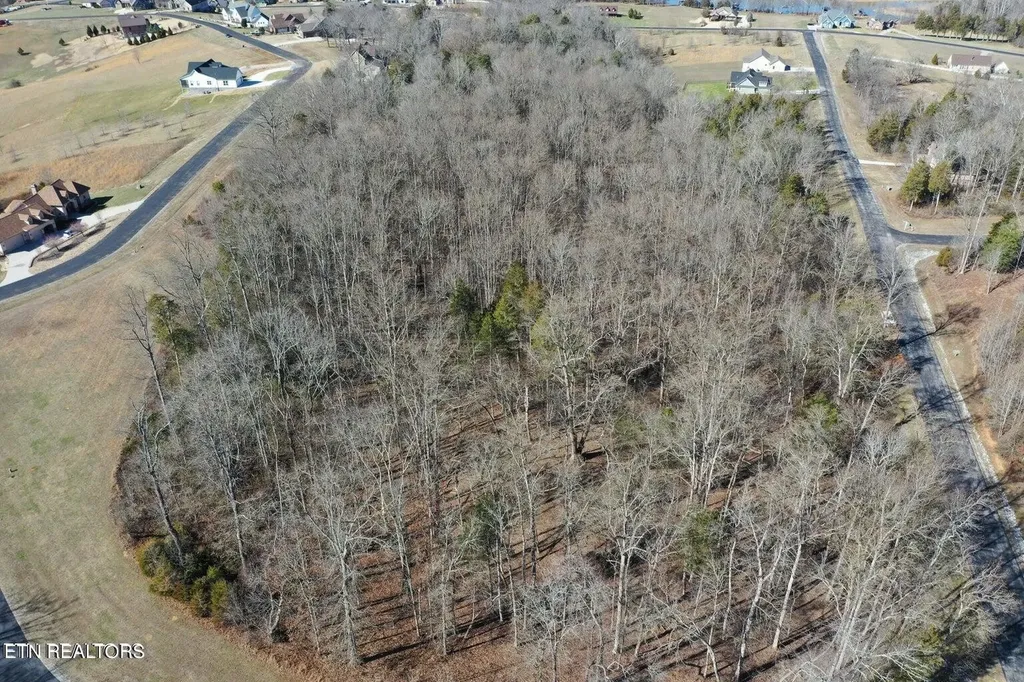 0 Eagle Ridge Drive Rockwood TN 37854