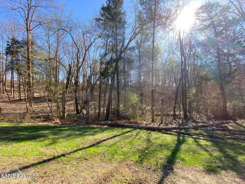 0 Eagle Ridge Drive Rockwood TN 37854