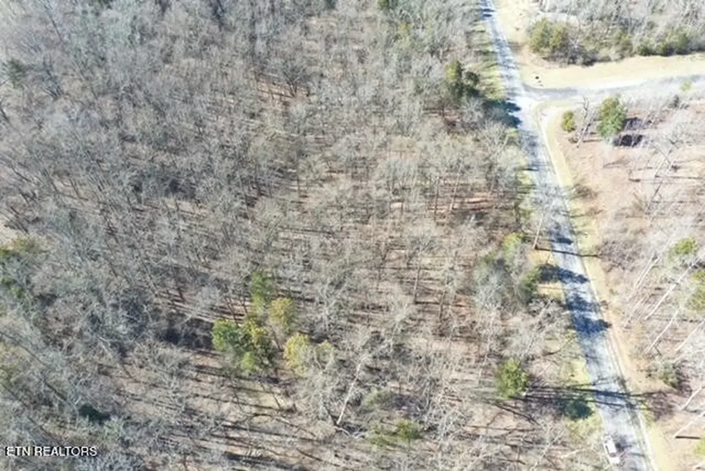 0 Eagle Ridge Drive Rockwood TN 37854