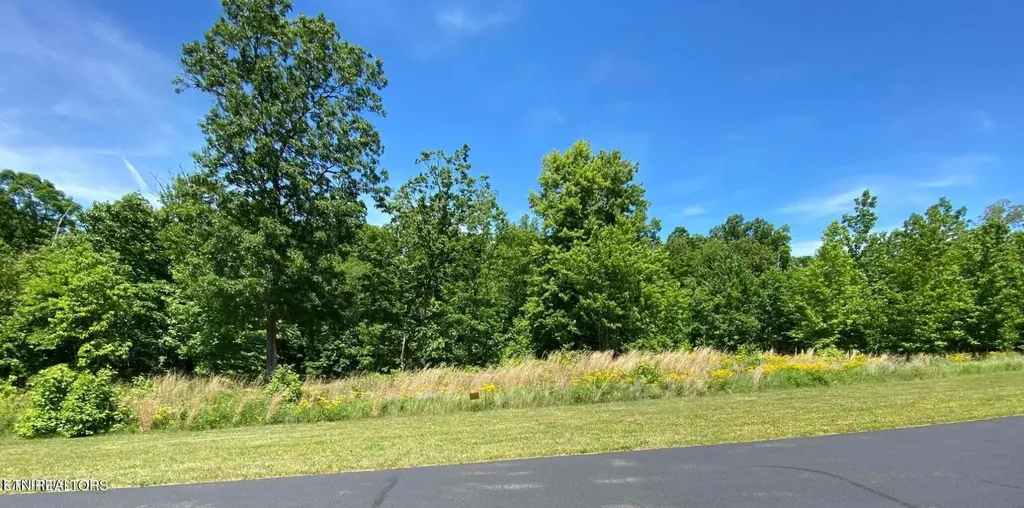 0 Water View Drive Rockwood TN 37854