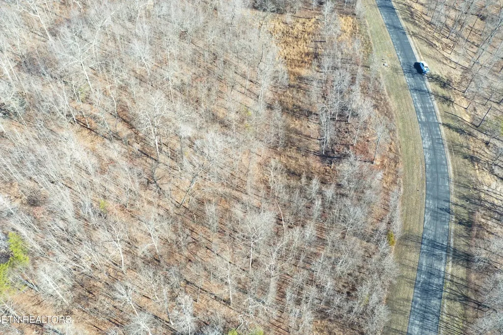 0 Water View Drive Rockwood TN 37854