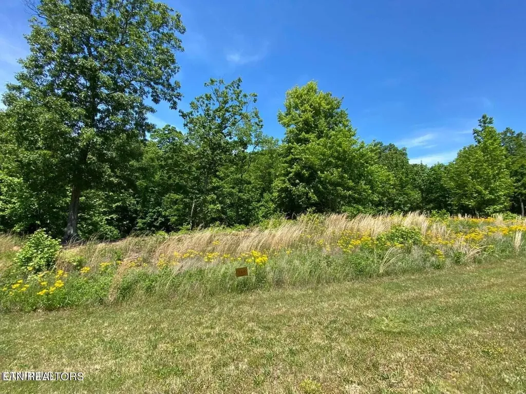 0 Water View Drive Rockwood TN 37854