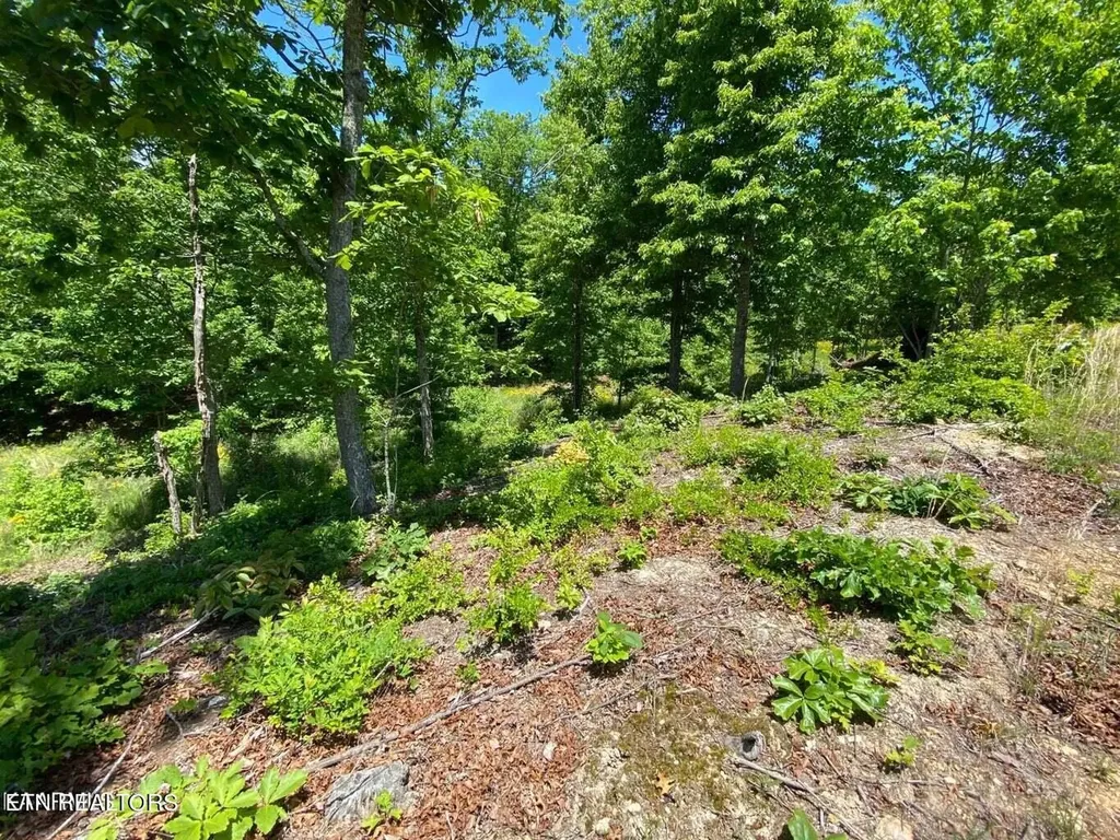 0 Water View Drive Rockwood TN 37854