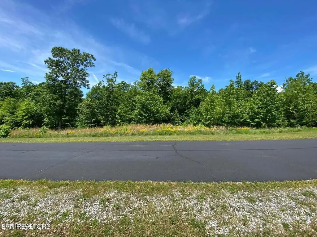 0 Water View Drive Rockwood TN 37854