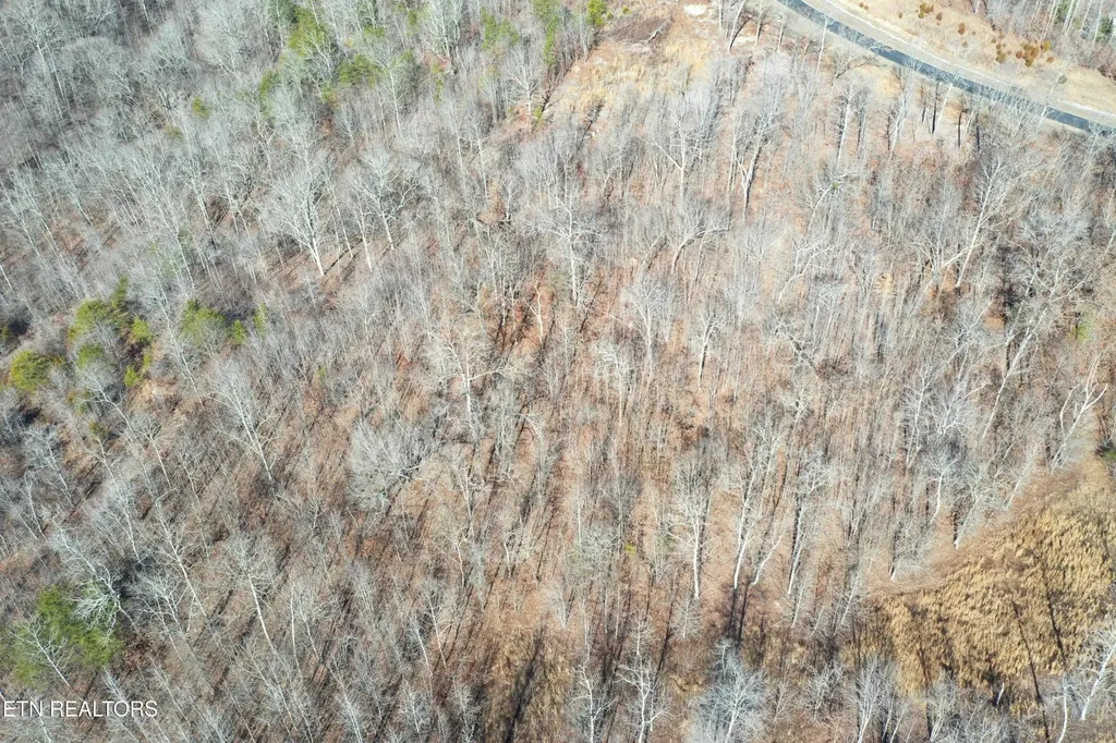 0 Water View Drive Rockwood TN 37854