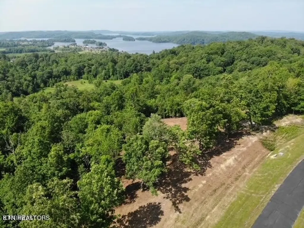 0 W Mountain Drive Rockwood TN 37854