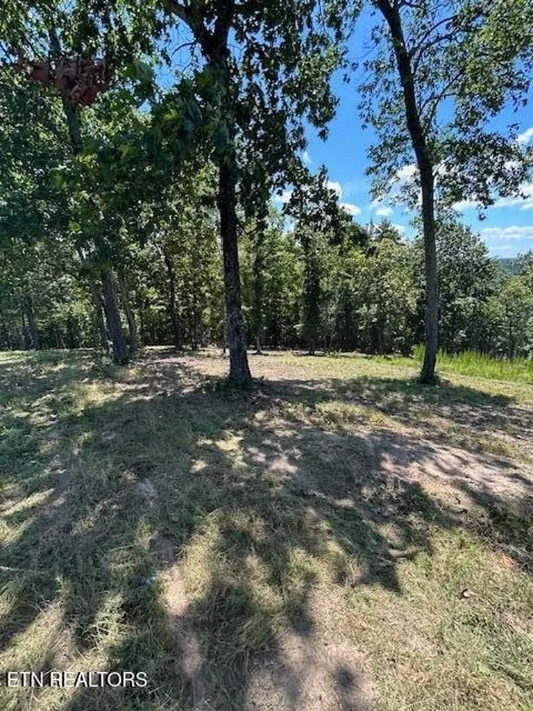 0 W Mountain Drive Rockwood TN 37854