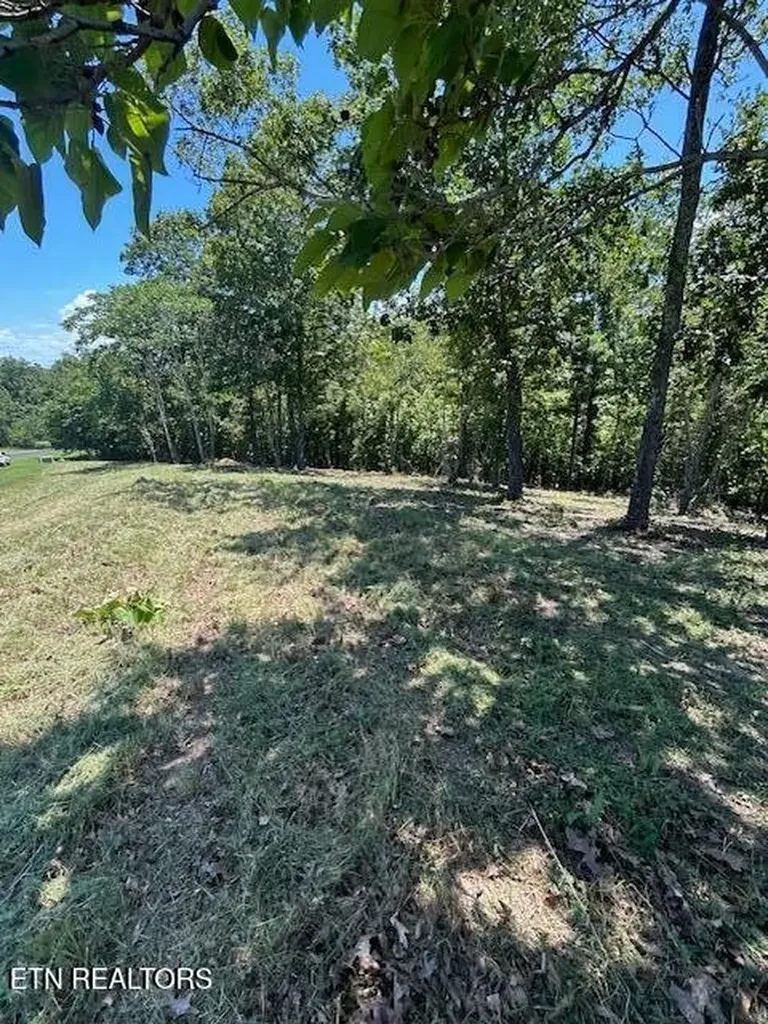 0 W Mountain Drive Rockwood TN 37854