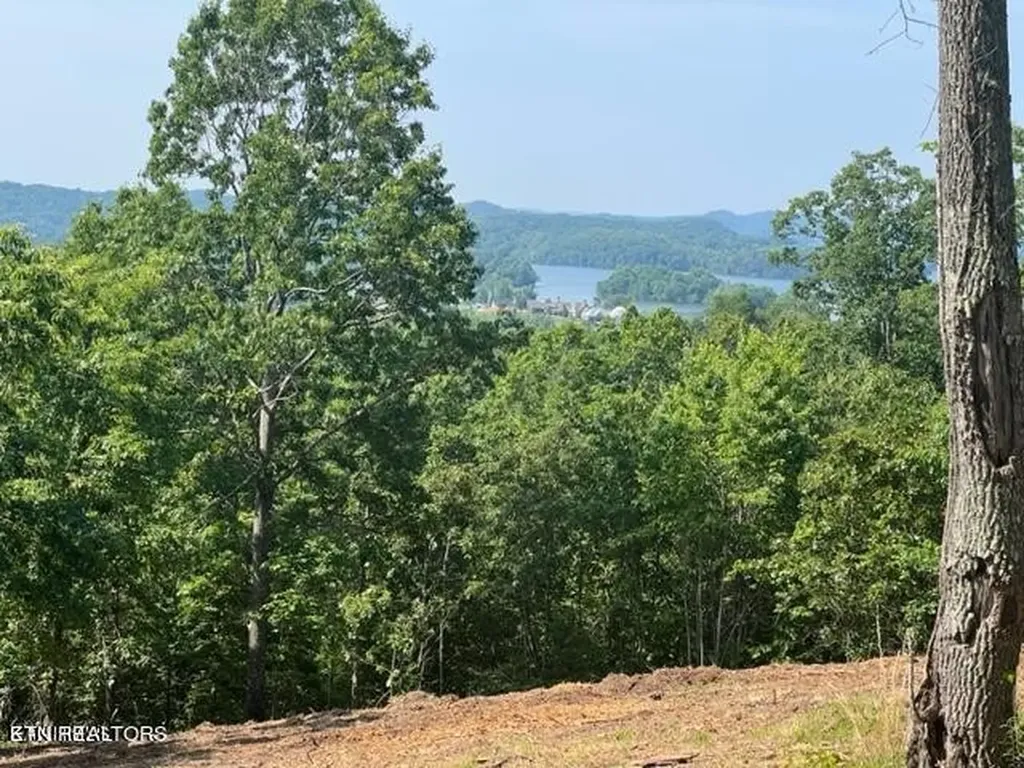 0 W Mountain Drive Rockwood TN 37854