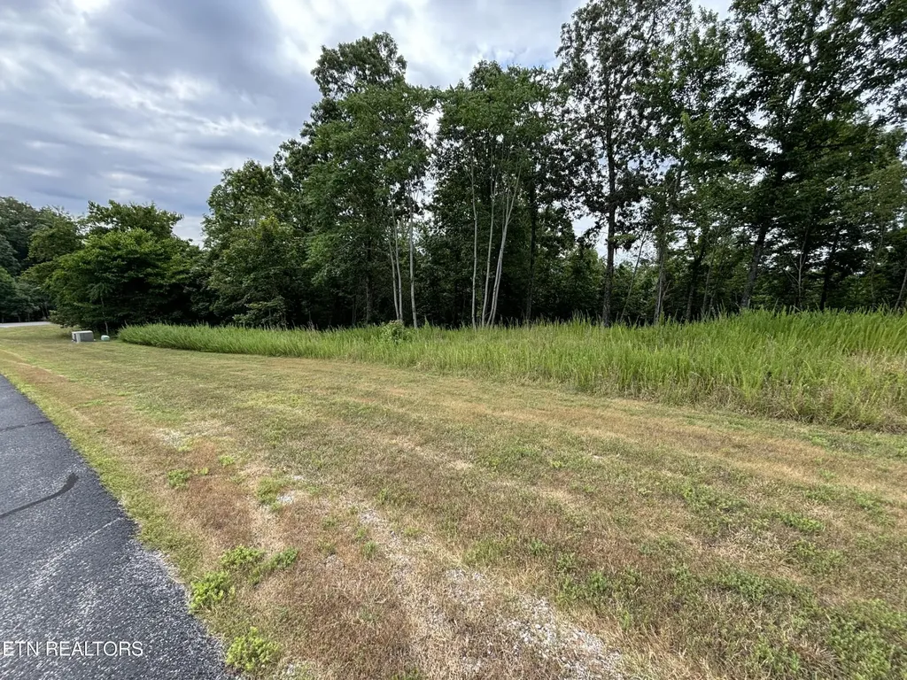 0 W Mountain Drive Rockwood TN 37854