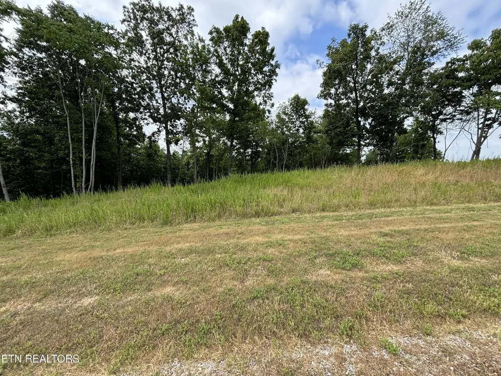 0 W Mountain Drive Rockwood TN 37854
