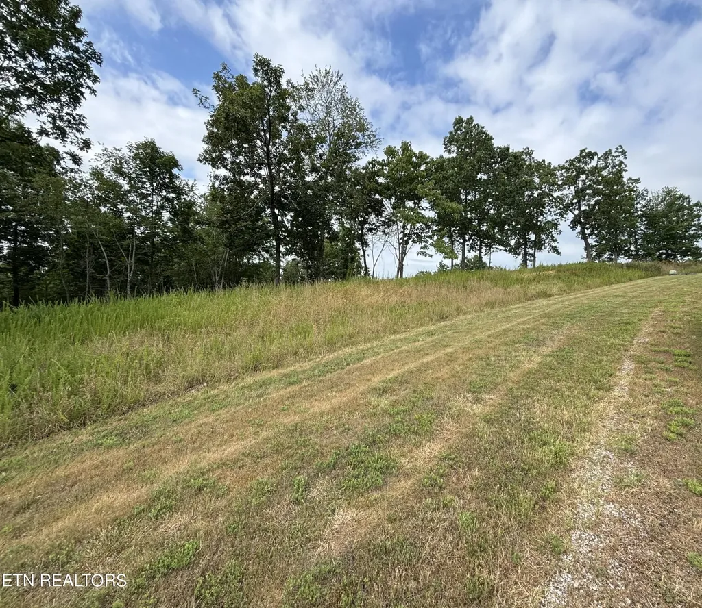 0 W Mountain Drive Rockwood TN 37854