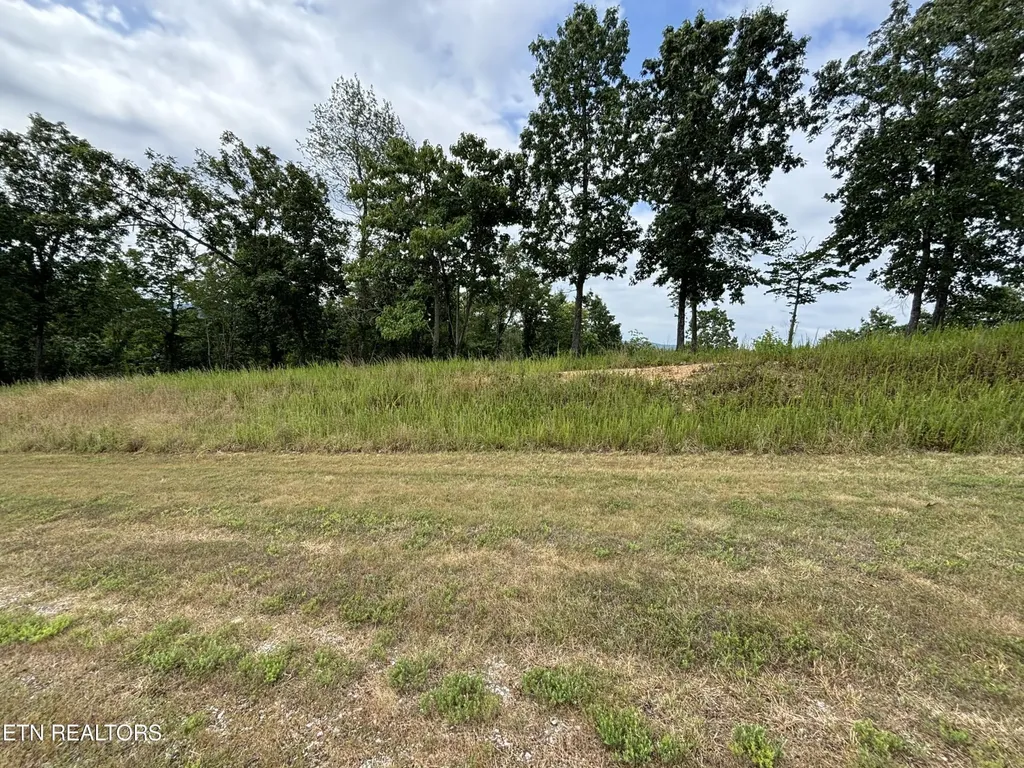 0 W Mountain Drive Rockwood TN 37854