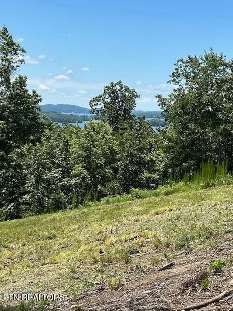 0 W Mountain Drive Rockwood TN 37854