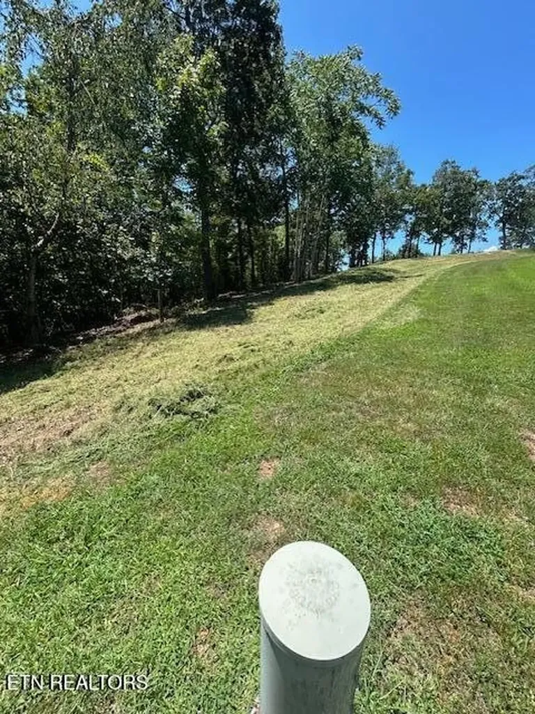 0 W Mountain Drive Rockwood TN 37854