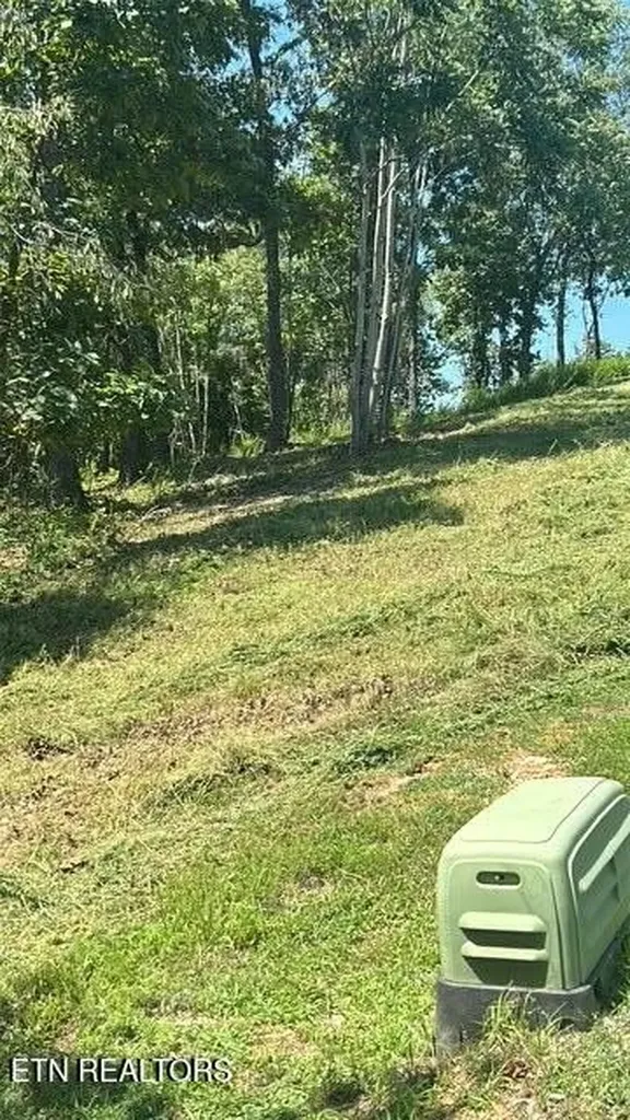 0 W Mountain Drive Rockwood TN 37854