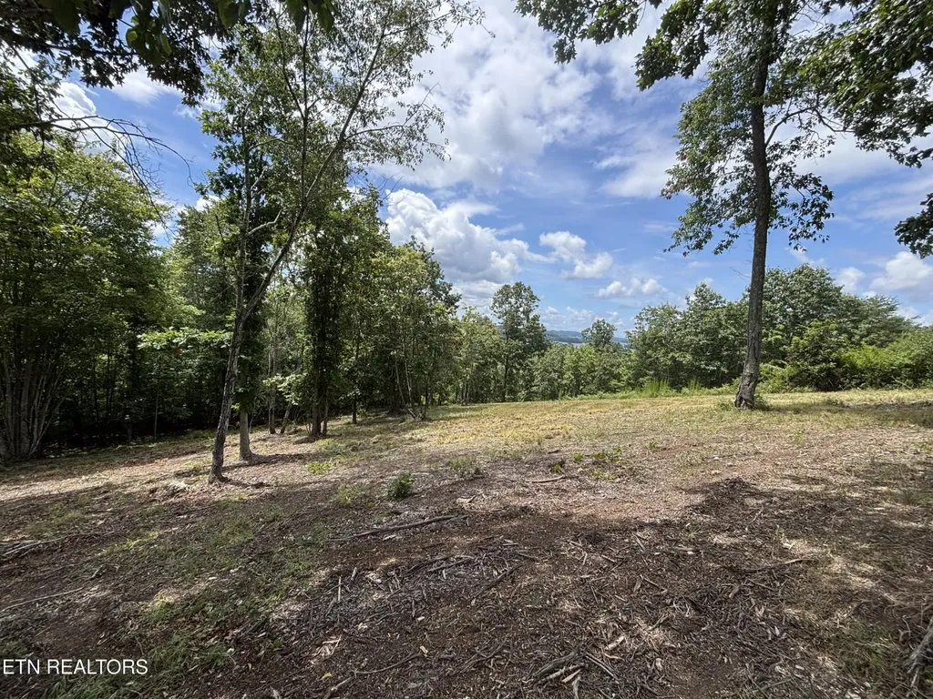 0 W Mountain Drive Rockwood TN 37854