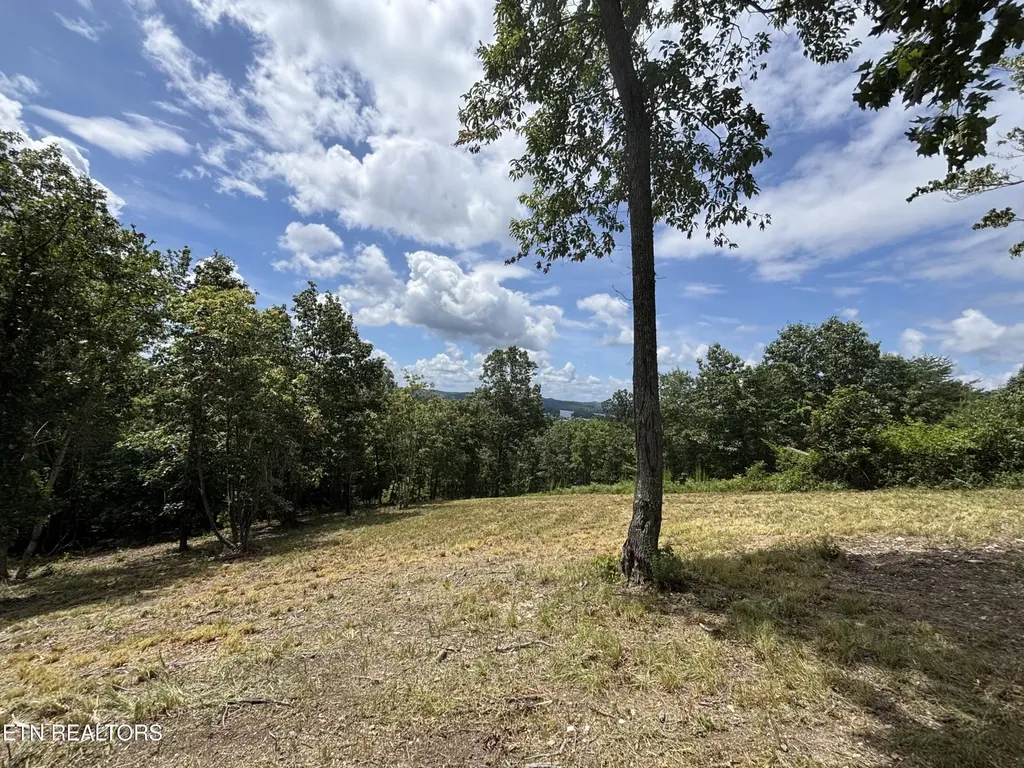 0 W Mountain Drive Rockwood TN 37854