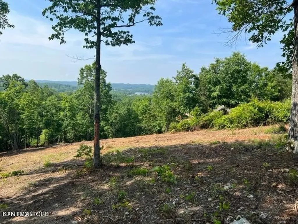 0 W Mountain Drive Rockwood TN 37854