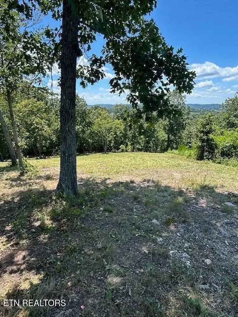 0 W Mountain Drive Rockwood TN 37854