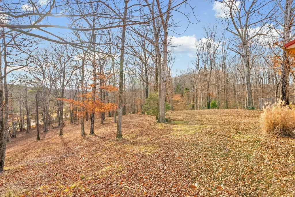 2419 Williams Hollow Road Mc Ewen TN 37101