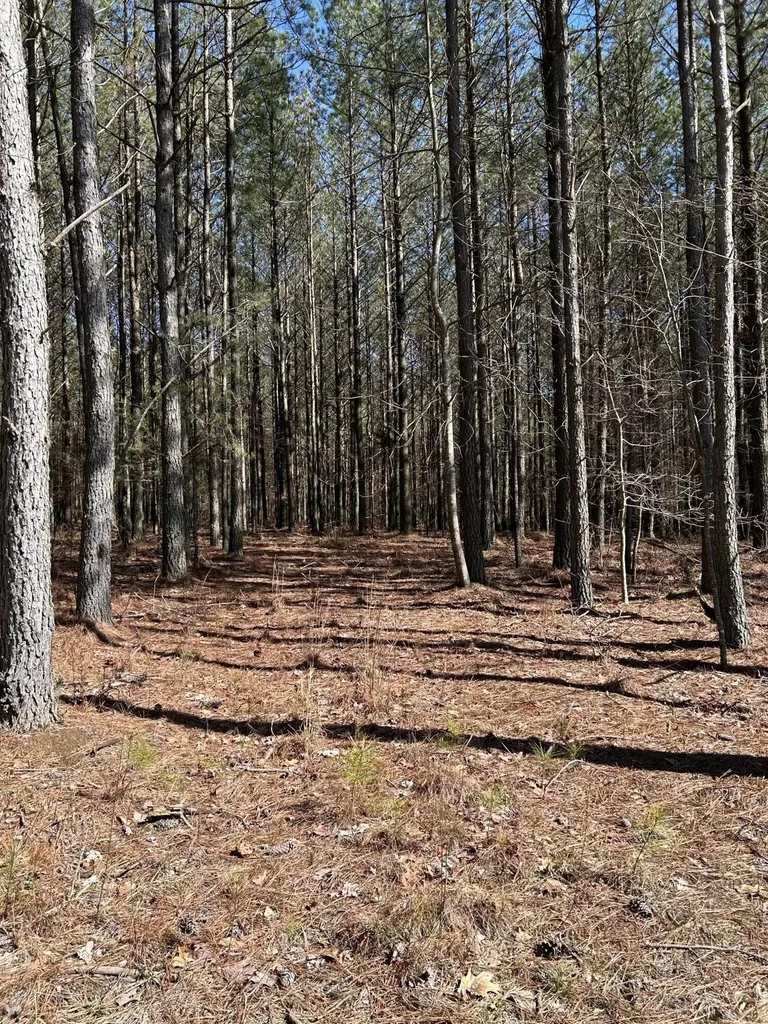 4210 Raulston Fls Road Jasper TN 37347