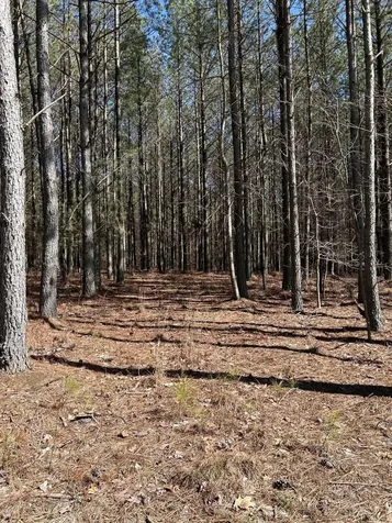 4210 Raulston Fls Road Jasper TN 37347