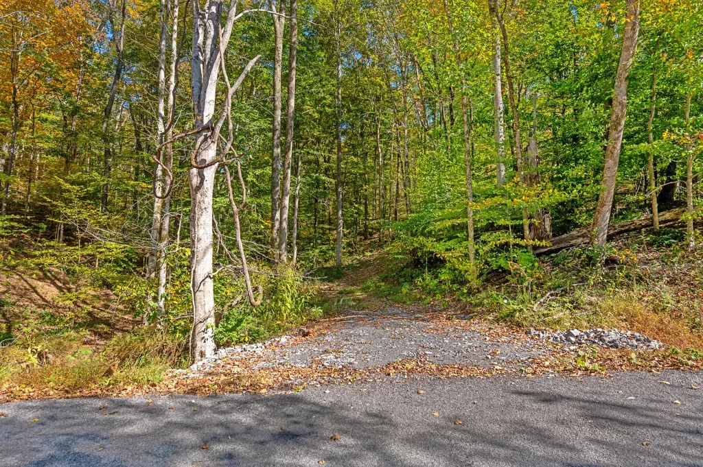 0 Bedford Creek Road Franklin TN 37064