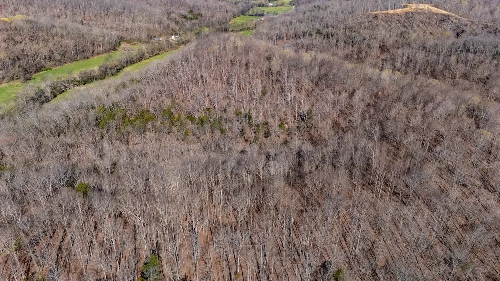 0 Bedford Creek Road Franklin TN 37064