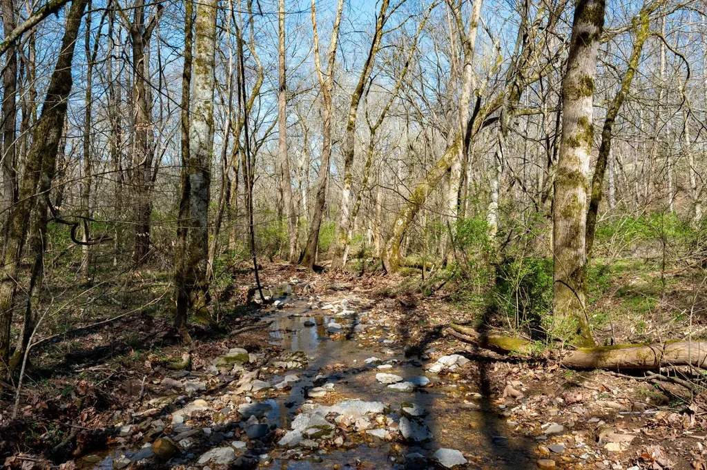 0 Bedford Creek Road Franklin TN 37064