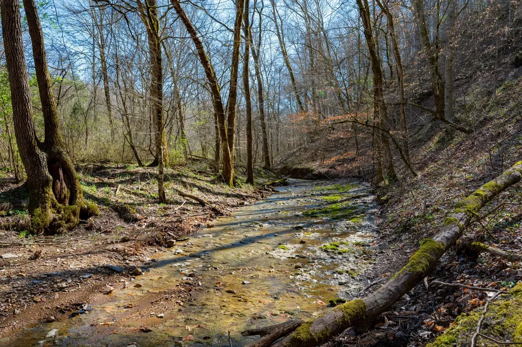0 Bedford Creek Road Franklin TN 37064