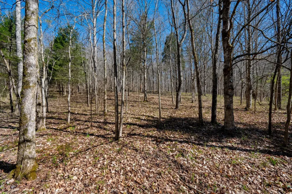 0 Bedford Creek Road Franklin TN 37064