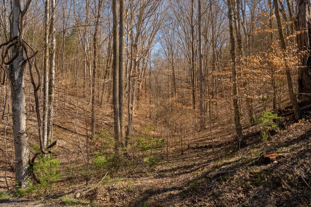 0 Bedford Creek Road Franklin TN 37064