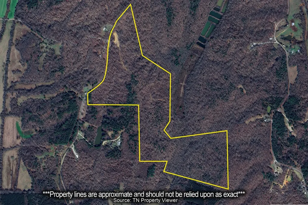0 Holladay Road Parsons TN 38363