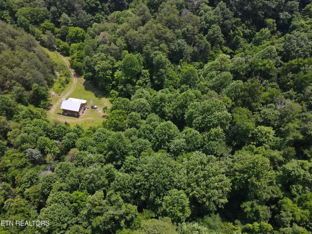 453 Trentham Hollow Road Parrottsville TN 37843