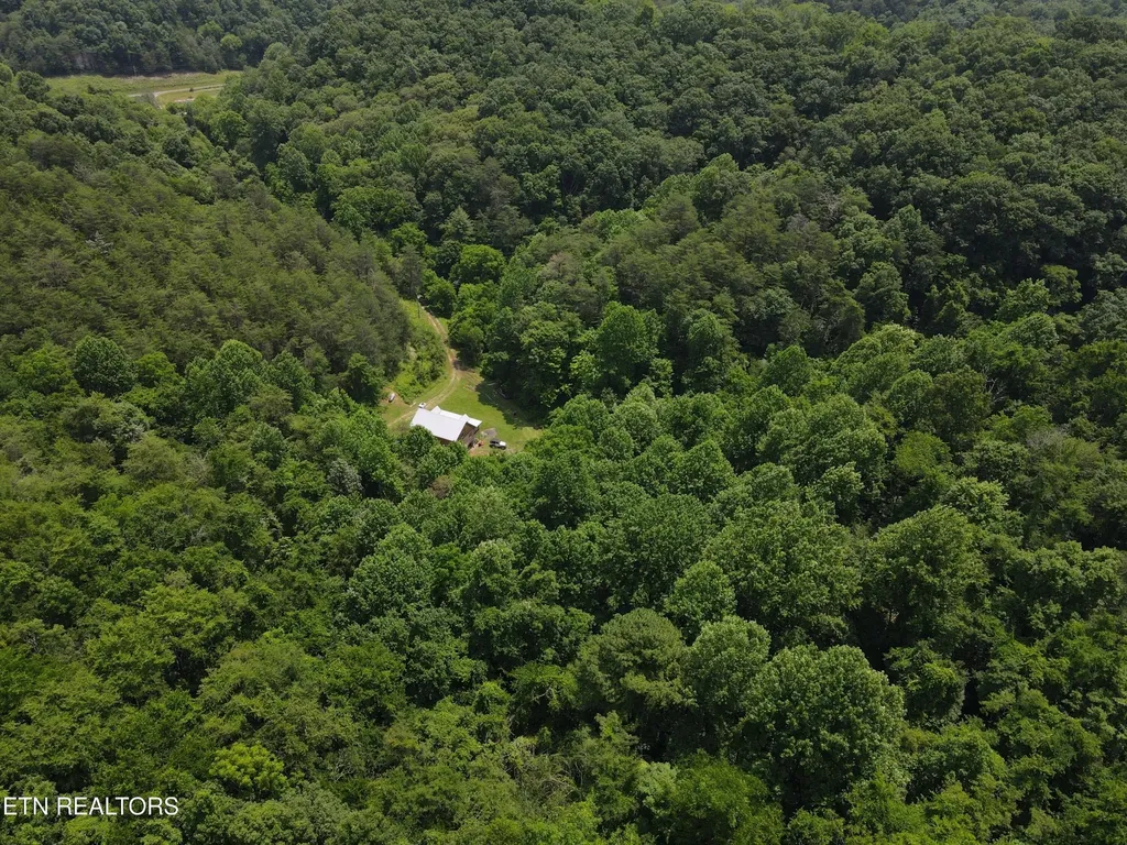453 Trentham Hollow Road Parrottsville TN 37843