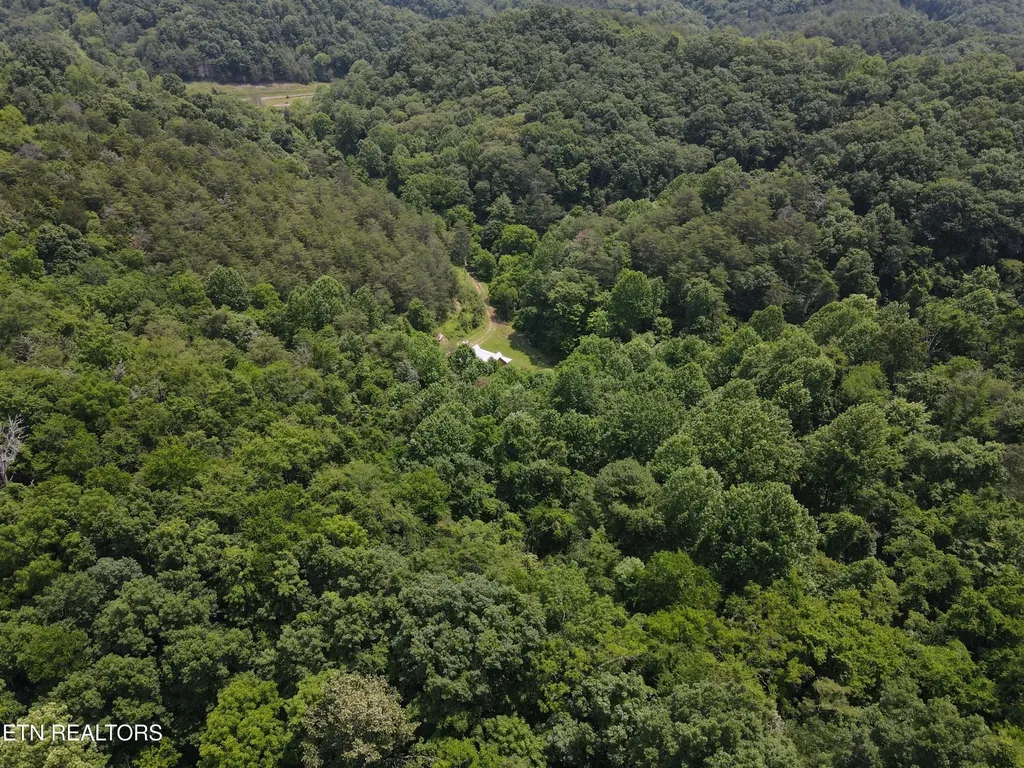 453 Trentham Hollow Road Parrottsville TN 37843